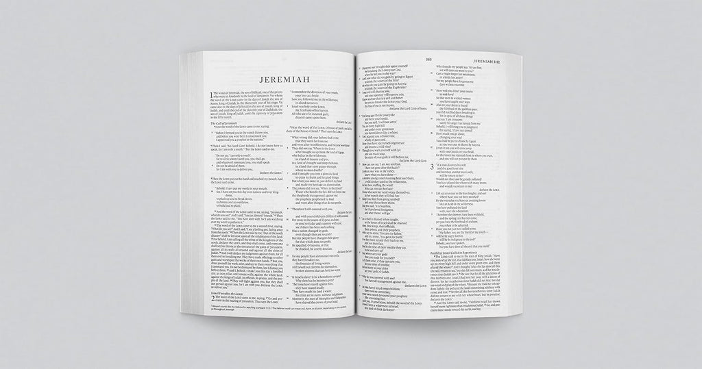 ESV REBIBLE Economy Bible