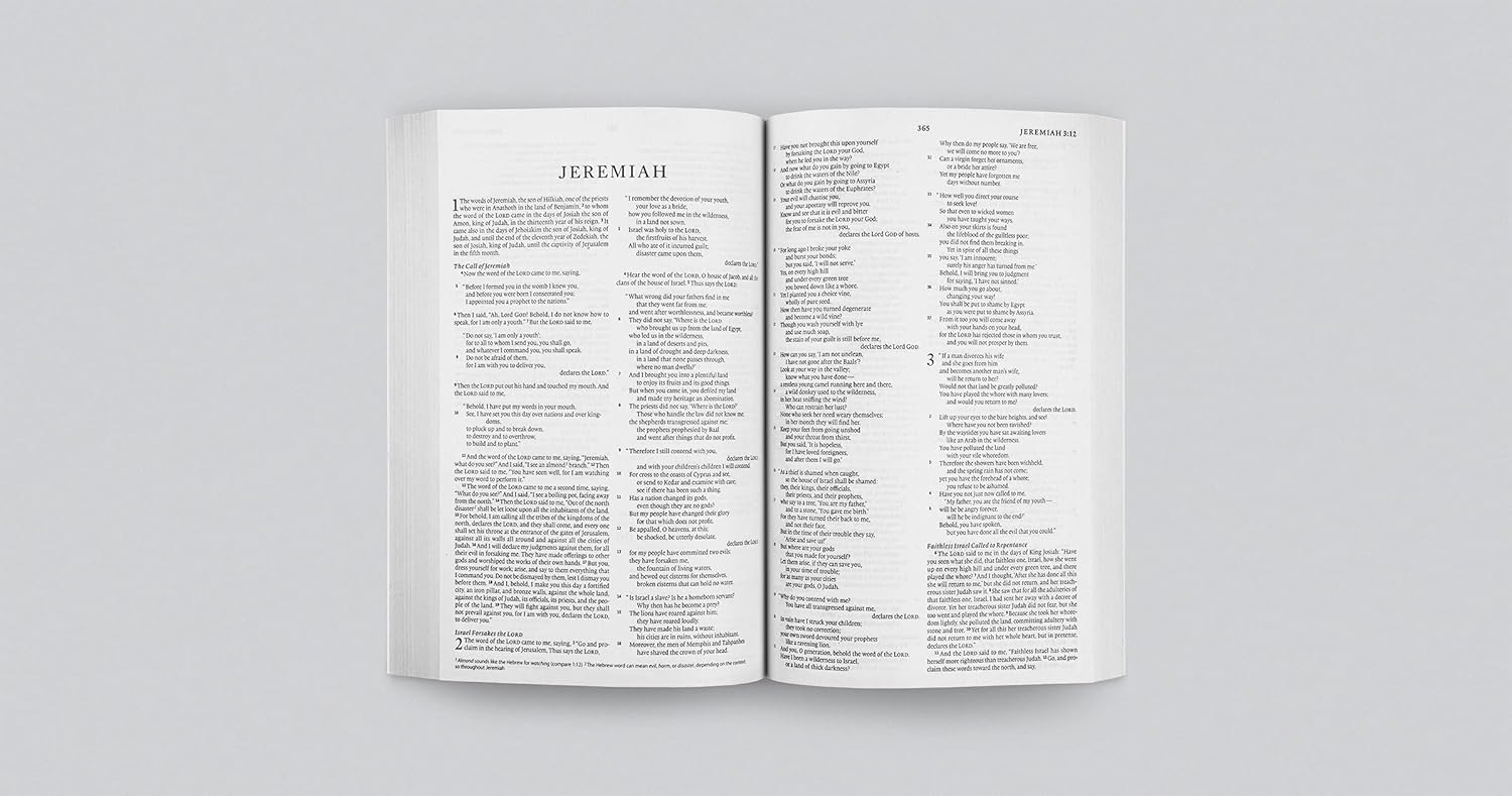 ESV REBIBLE Economy Bible
