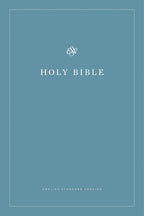 ESV REBIBLE Economy Bible