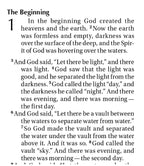 NIV REBIBLE Children's Holy Bible
