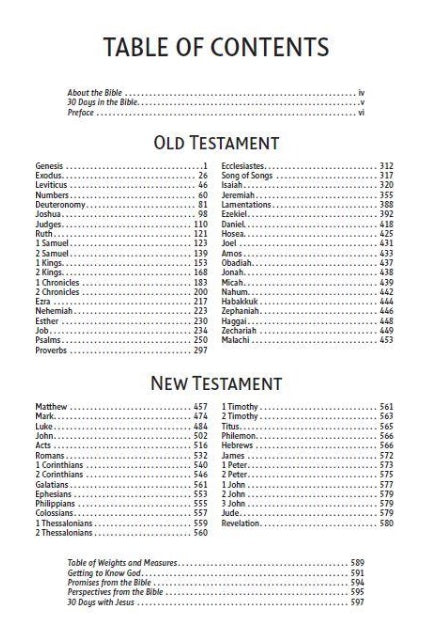 NIV REBIBLE Holy Bible Economy Edition Comfort Print