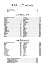 NIV REBIBLE Economy Bible