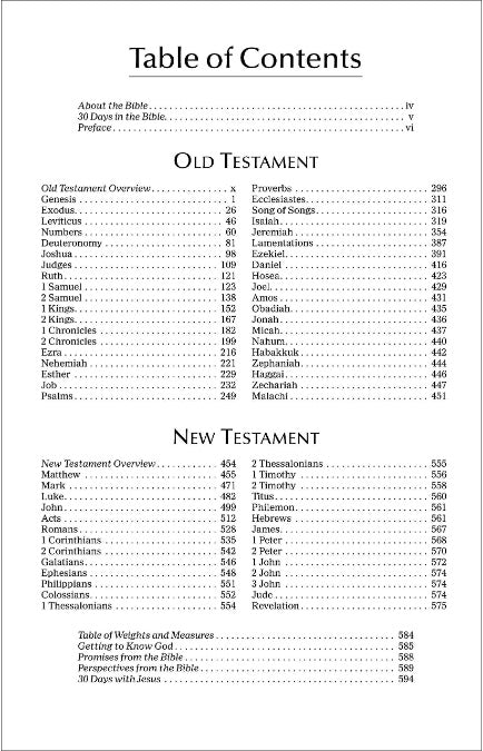NIV REBIBLE Economy Bible
